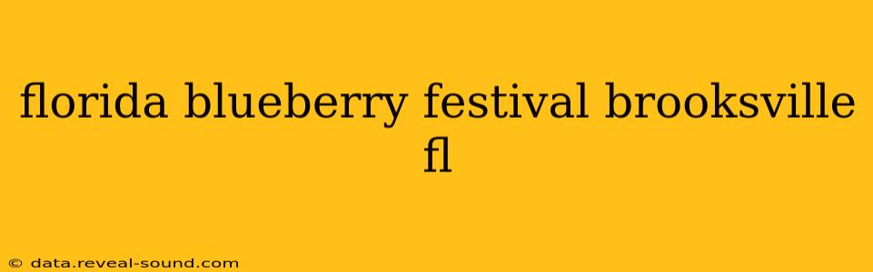 florida blueberry festival brooksville fl