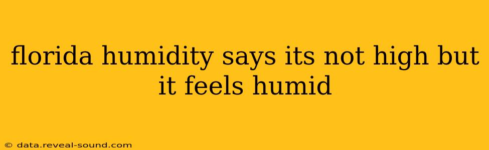 florida humidity says its not high but it feels humid