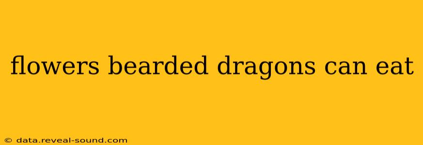 flowers bearded dragons can eat