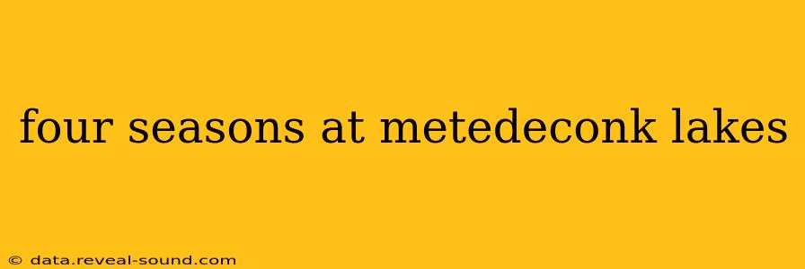four seasons at metedeconk lakes