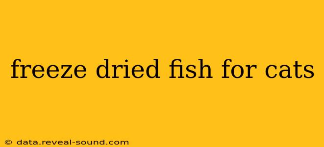 freeze dried fish for cats