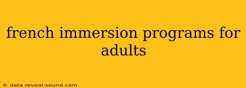 french immersion programs for adults