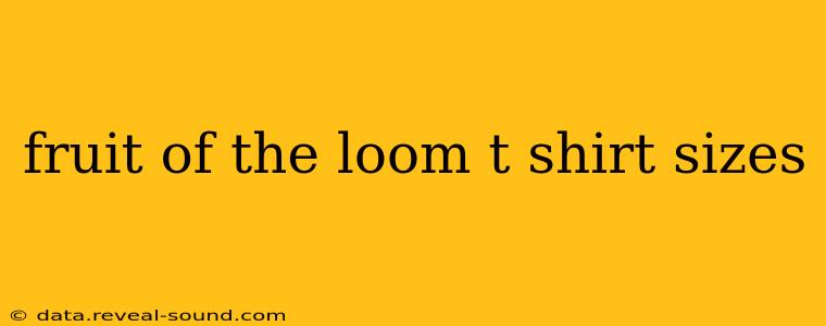 fruit of the loom t shirt sizes