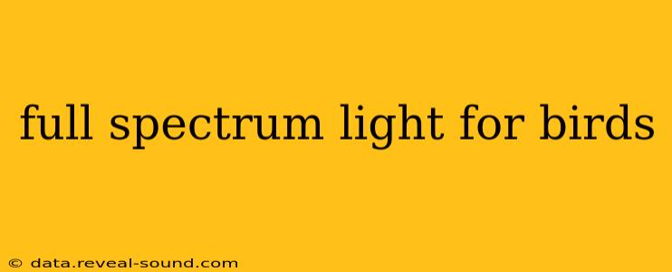 full spectrum light for birds