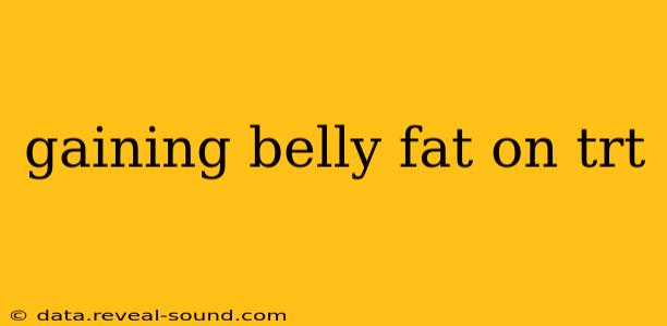 gaining belly fat on trt