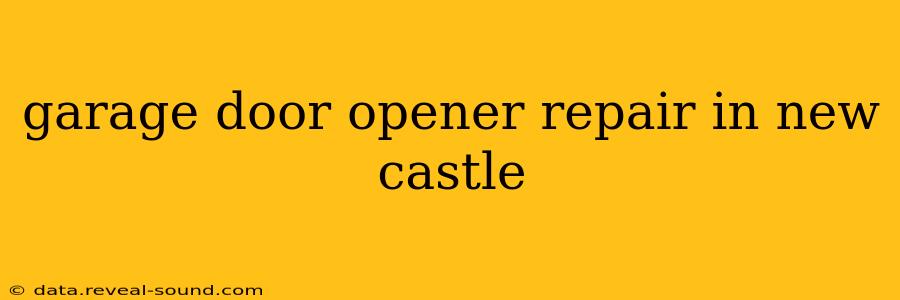 garage door opener repair in new castle