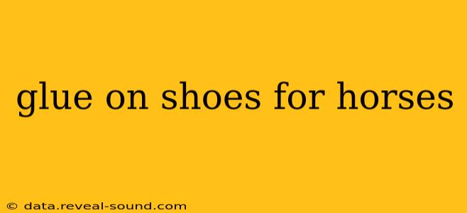 glue on shoes for horses
