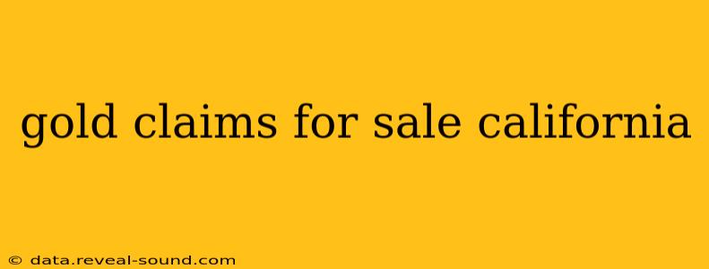 gold claims for sale california