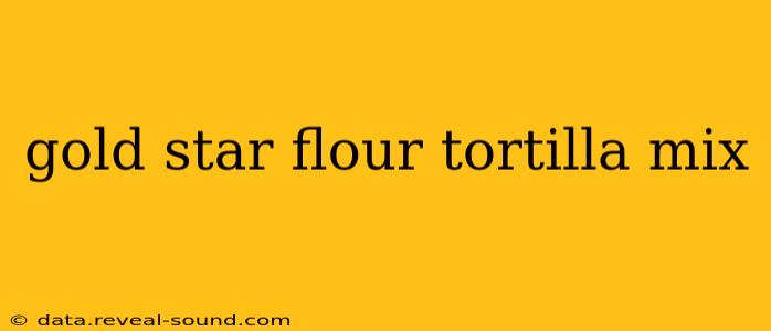gold star flour tortilla mix
