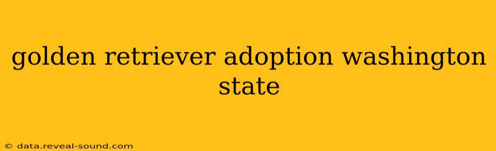 golden retriever adoption washington state