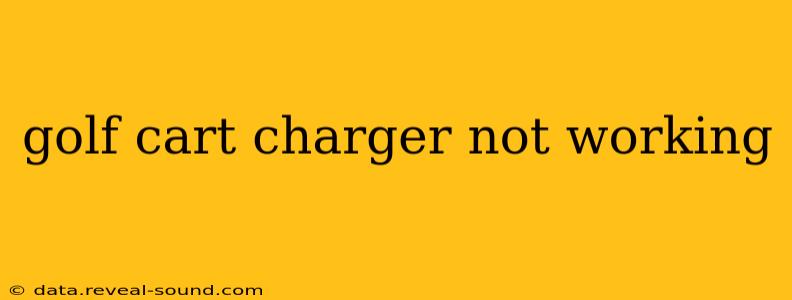 golf cart charger not working