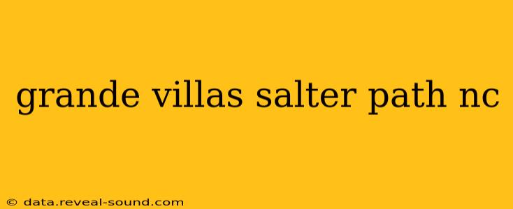 grande villas salter path nc