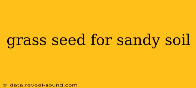 grass seed for sandy soil