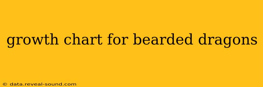 growth chart for bearded dragons