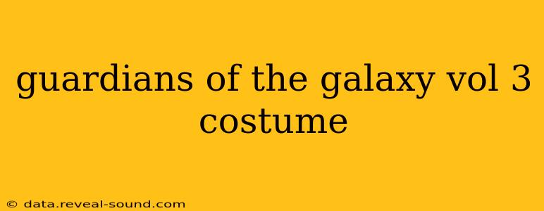 guardians of the galaxy vol 3 costume