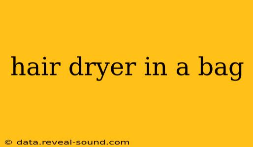 hair dryer in a bag