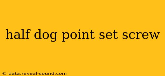 half dog point set screw