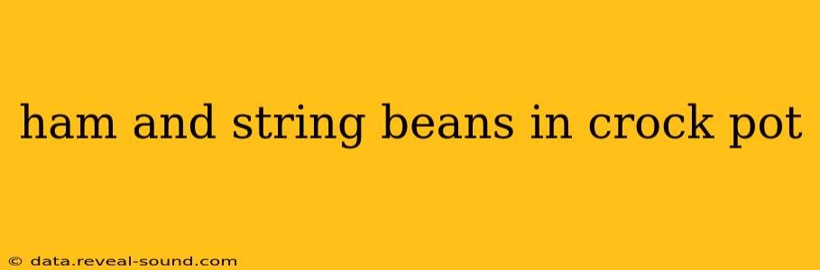 ham and string beans in crock pot