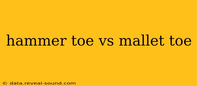 hammer toe vs mallet toe