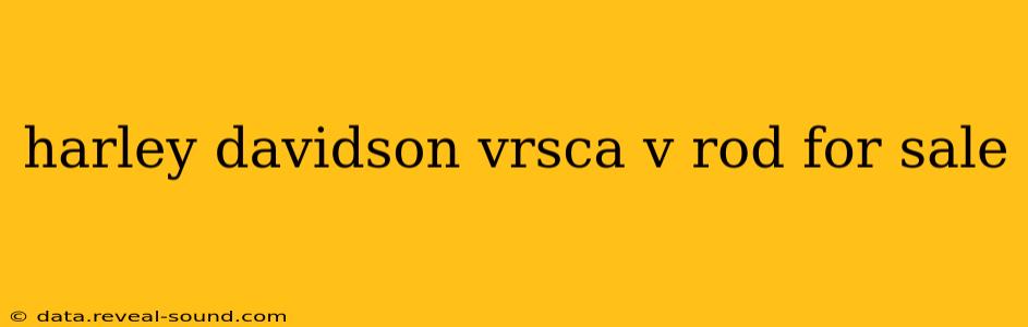 harley davidson vrsca v rod for sale
