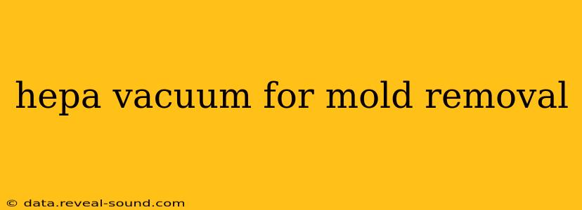 hepa vacuum for mold removal