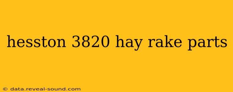 hesston 3820 hay rake parts
