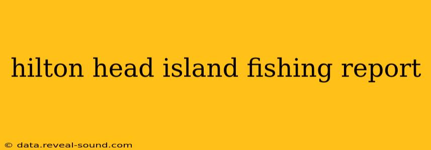 hilton head island fishing report