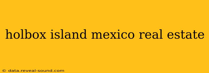 holbox island mexico real estate