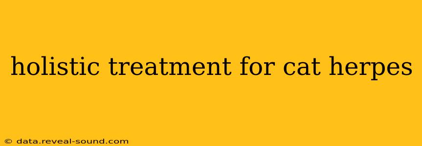 holistic treatment for cat herpes
