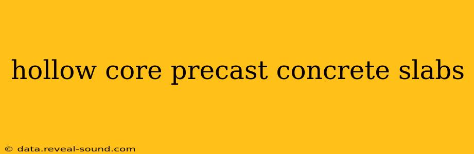 hollow core precast concrete slabs