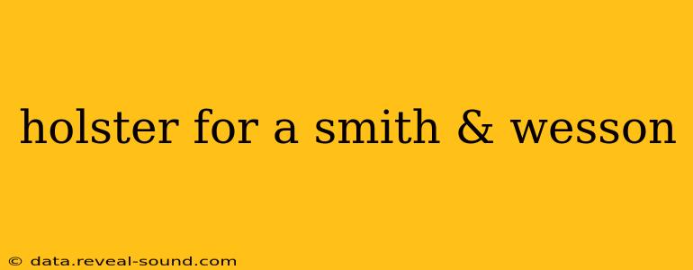 holster for a smith & wesson