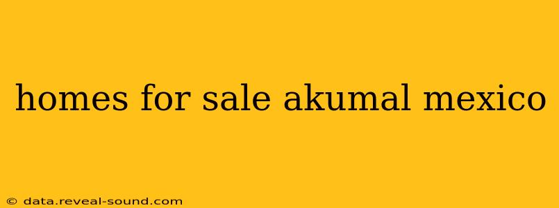 homes for sale akumal mexico