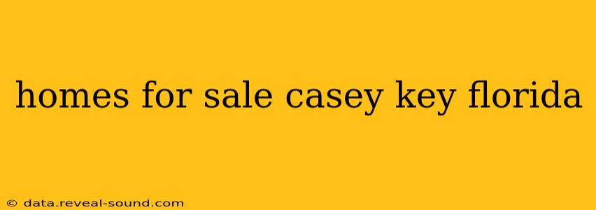 homes for sale casey key florida