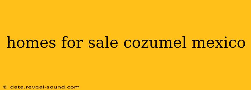homes for sale cozumel mexico