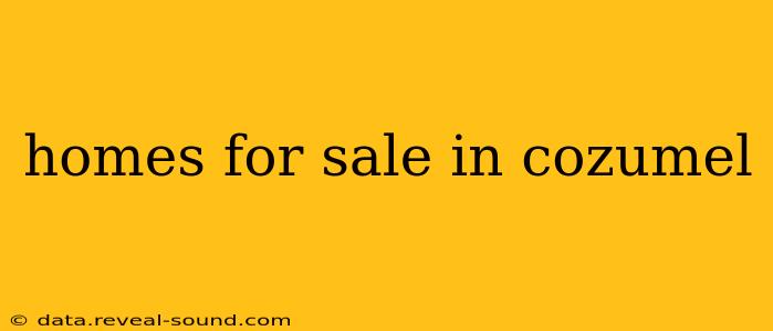 homes for sale in cozumel