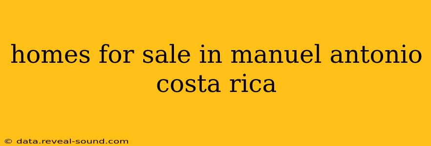 homes for sale in manuel antonio costa rica