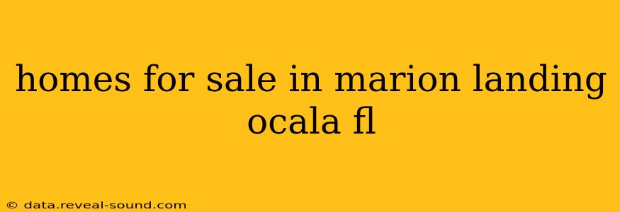 homes for sale in marion landing ocala fl