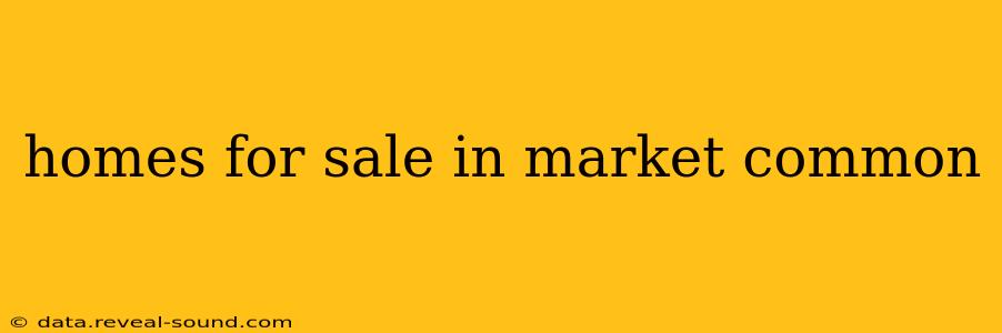 homes for sale in market common