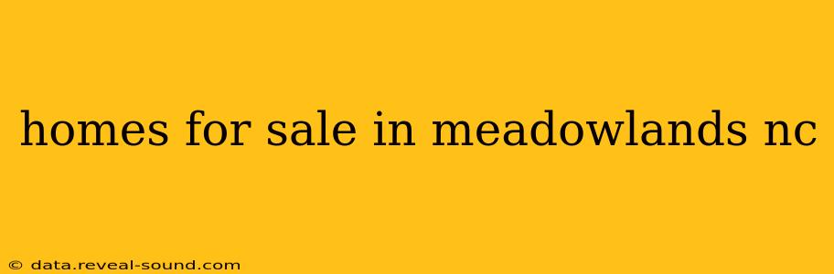 homes for sale in meadowlands nc