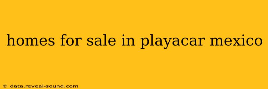 homes for sale in playacar mexico