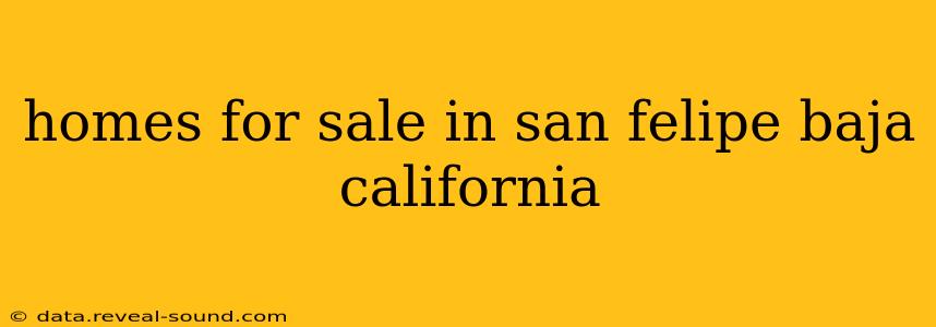 homes for sale in san felipe baja california
