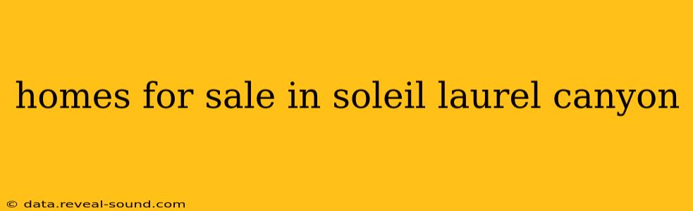 homes for sale in soleil laurel canyon