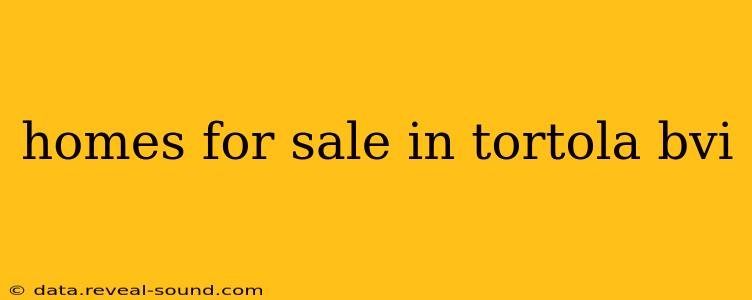 homes for sale in tortola bvi