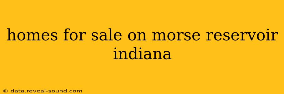 homes for sale on morse reservoir indiana