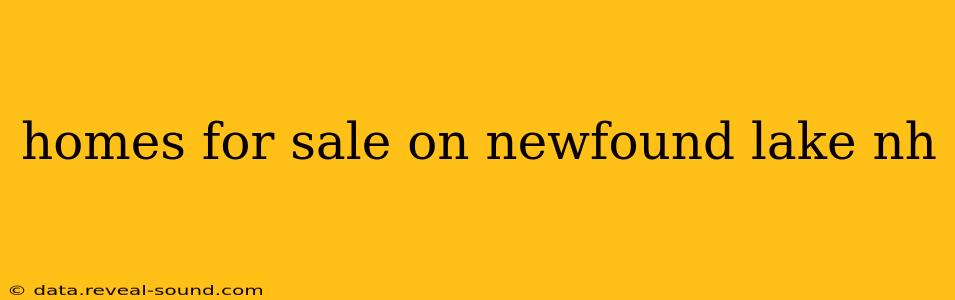 homes for sale on newfound lake nh