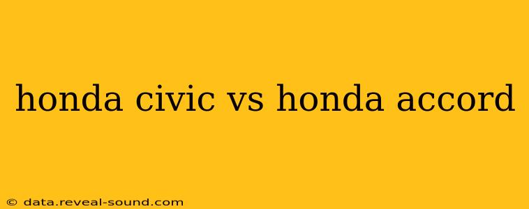 honda civic vs honda accord