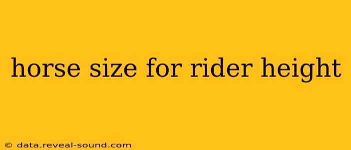 horse size for rider height