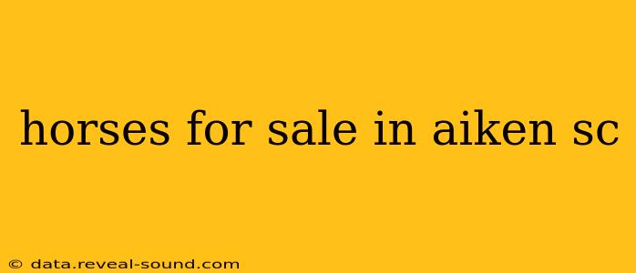 horses for sale in aiken sc