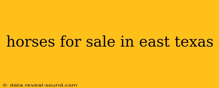 horses for sale in east texas
