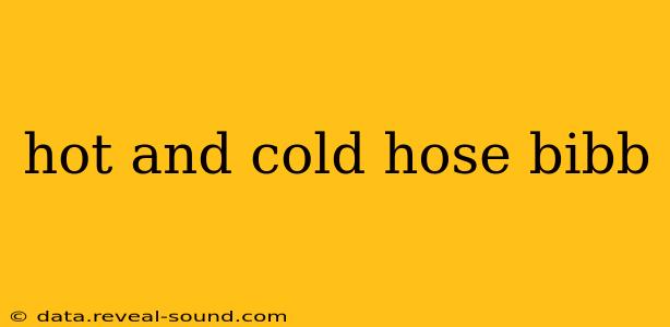 hot and cold hose bibb